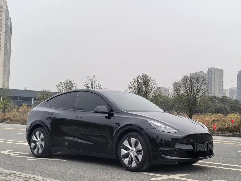 Tesla Model Y 2021 из CN, фото 5