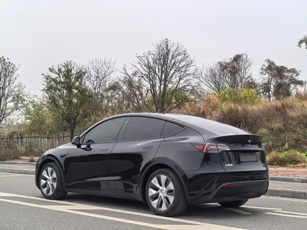 Tesla Model Y 2021 из CN, фото 6