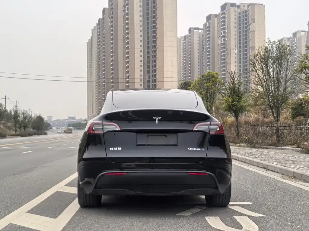 Tesla Model Y 2021 из CN, фото 7