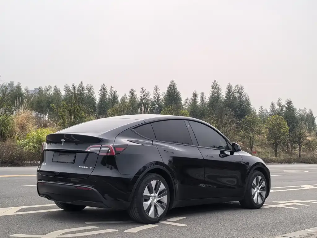 Tesla Model Y 2021 из CN, фото 8