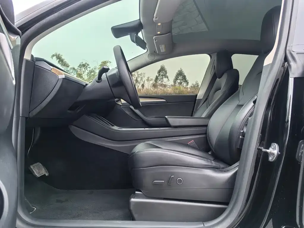 Tesla Model Y 2021 из CN, фото 4