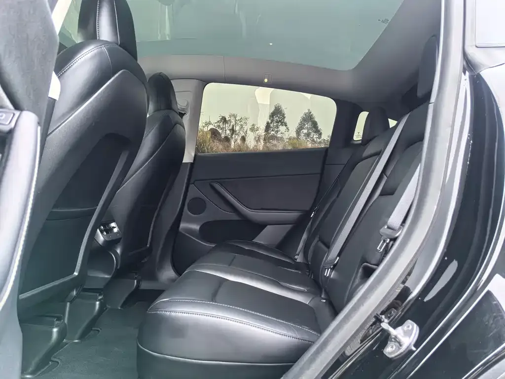 Tesla Model Y 2021 из CN, фото 2