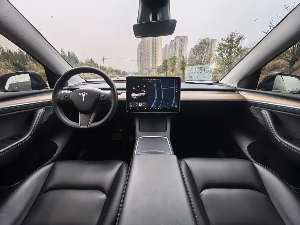 Tesla Model Y 2021 из CN, фото 9