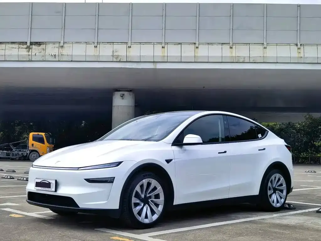 Tesla Model Y 2025 из CN, фото 1