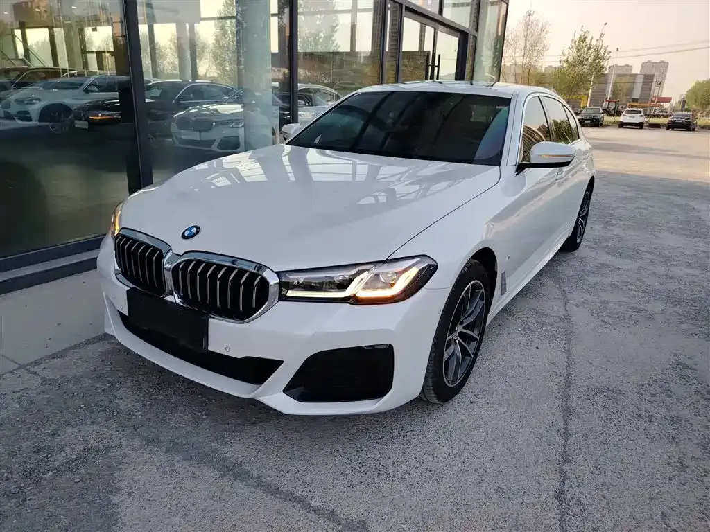 BMW 5 Series 2022 из CN, фото 1