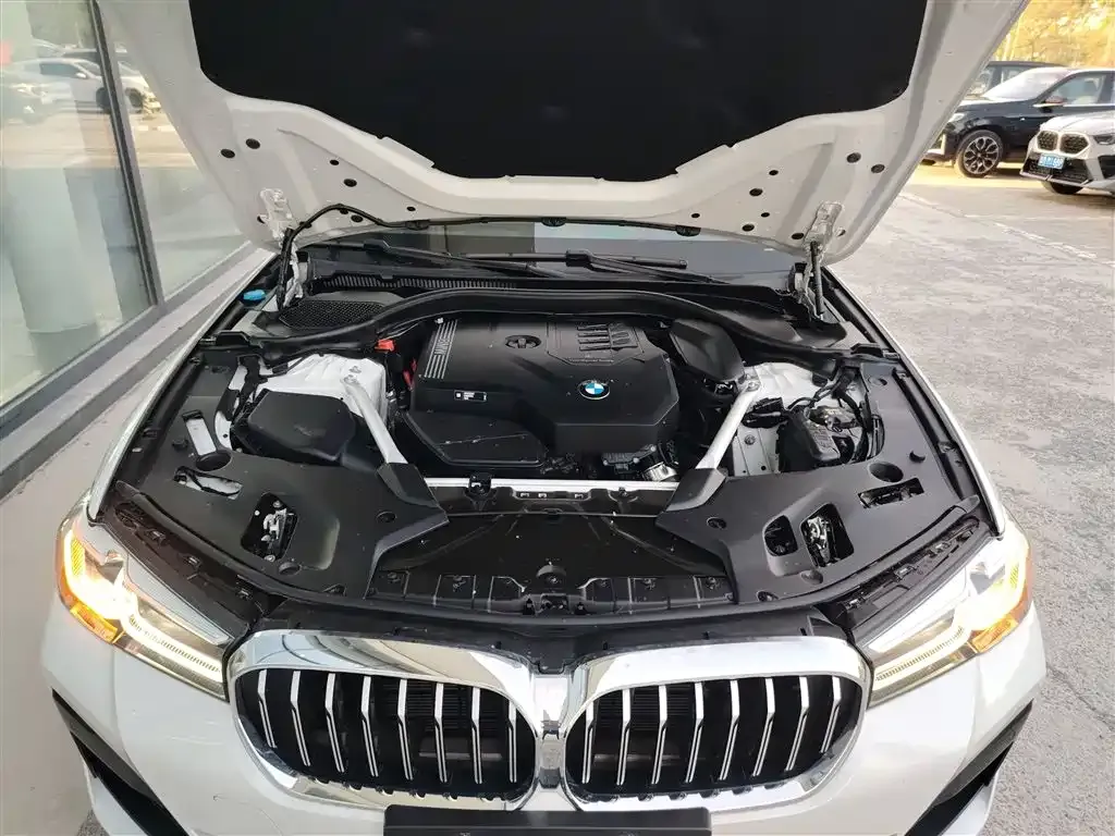 BMW 5 Series 2022 из CN, фото 5