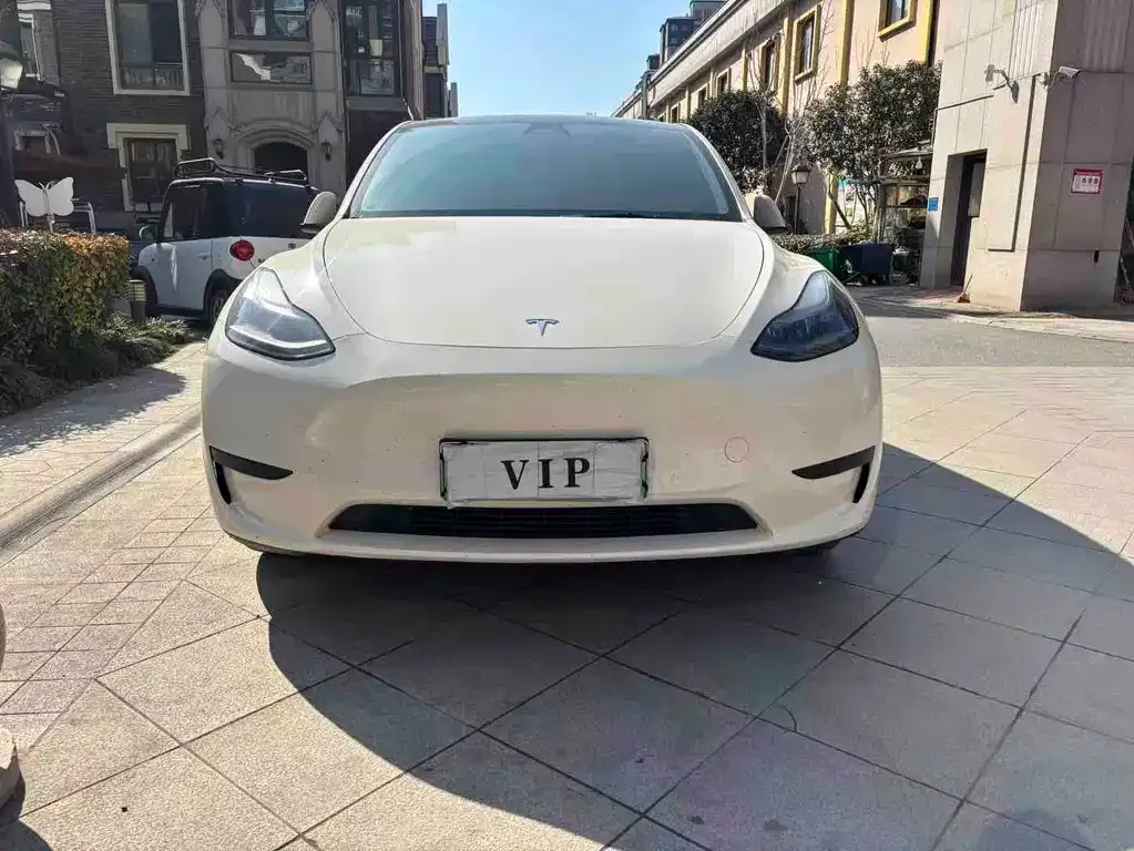 Tesla Model Y 2022 из CN, фото 3
