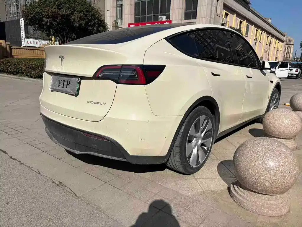 Tesla Model Y 2022 из CN, фото 6