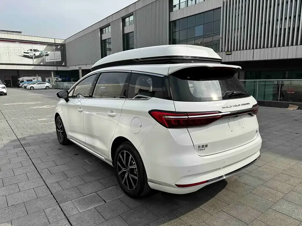 BYD MAX New Energy 2022 из CN, фото 5