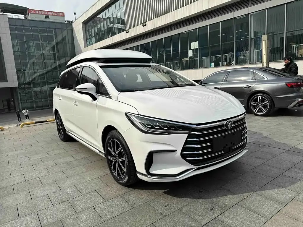 BYD MAX New Energy 2022 из CN, фото 10