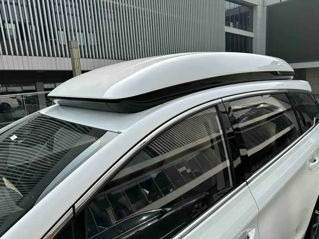 BYD MAX New Energy 2022 из CN, фото 3