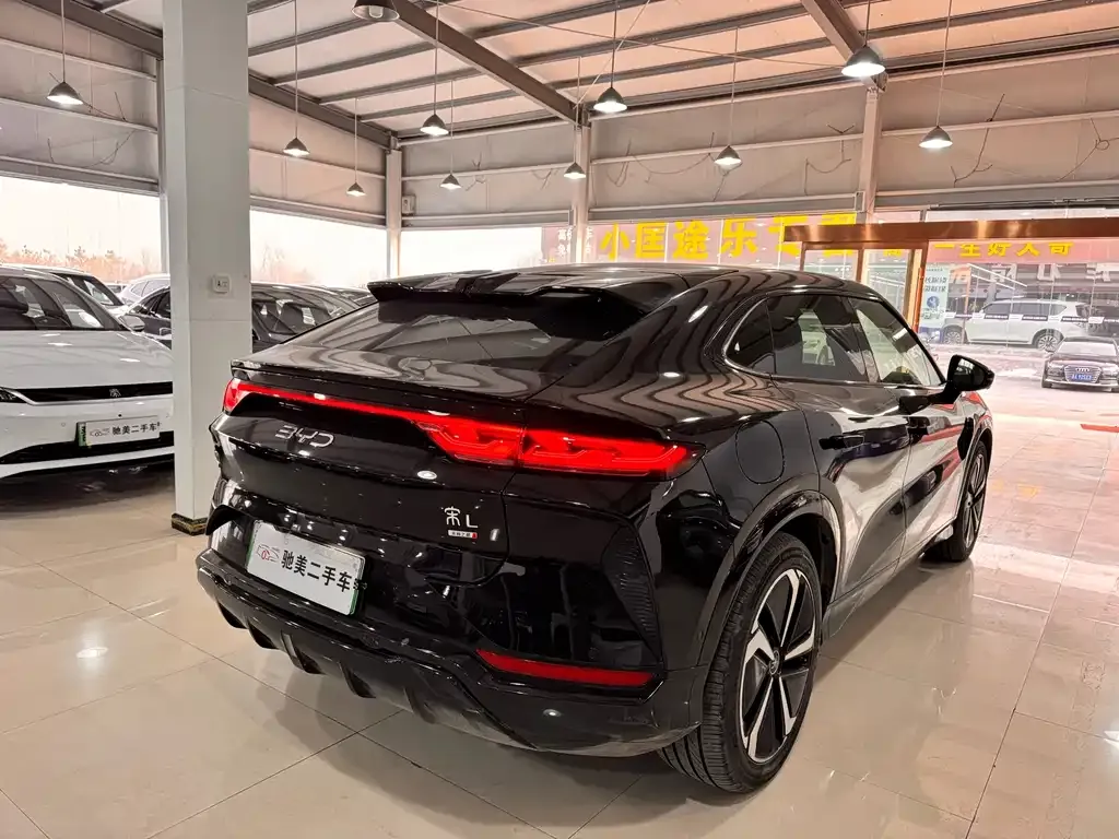 BYD L EV 2025 из CN, фото 3