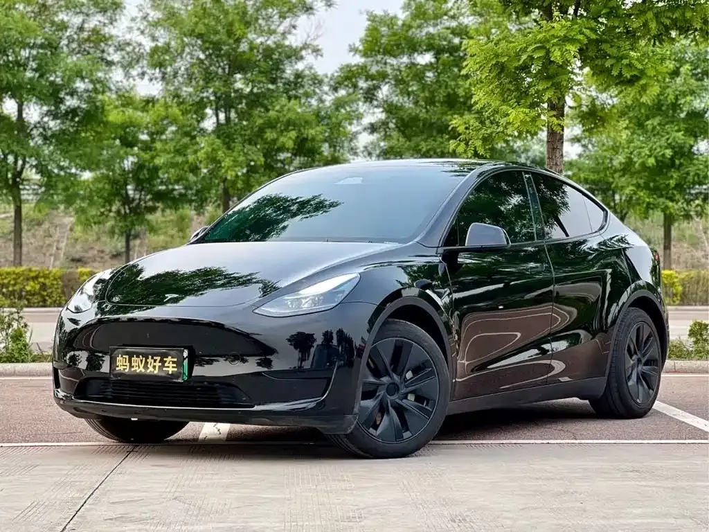 Tesla Model Y 2023 из CN, фото 1