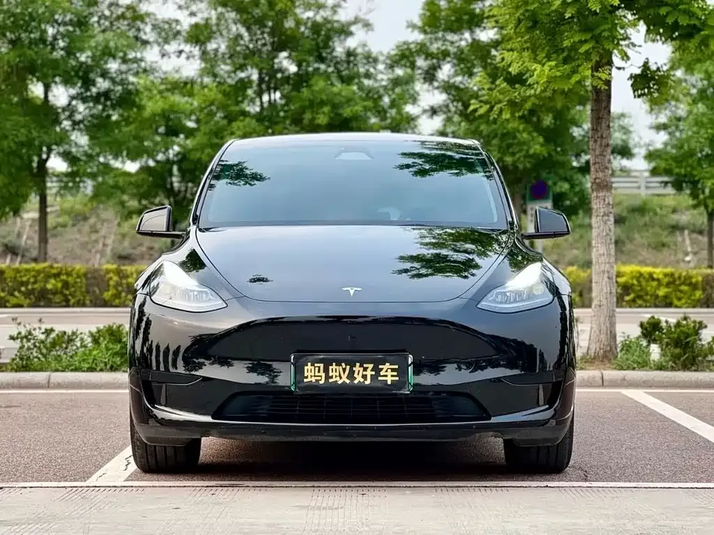 Tesla Model Y 2023 из CN, фото 5