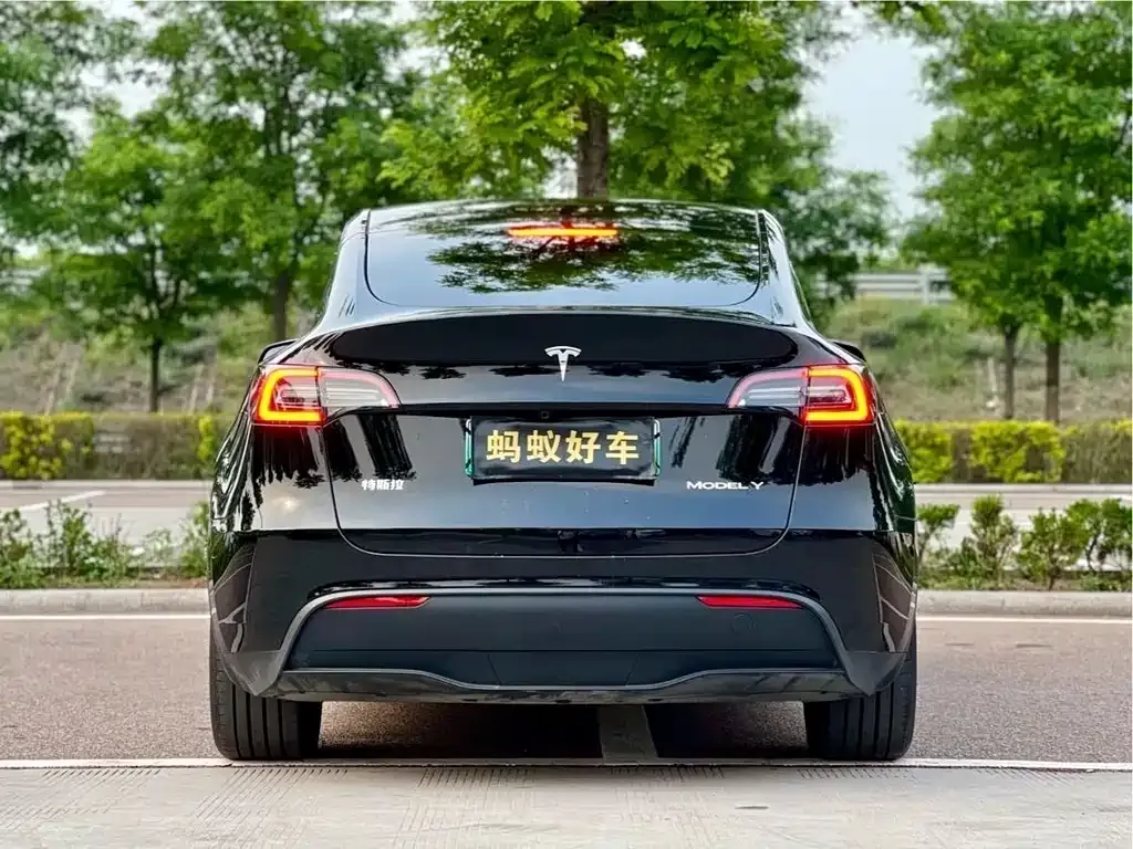 Tesla Model Y 2023 из CN, фото 4