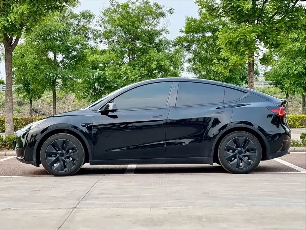 Tesla Model Y 2023 из CN, фото 6