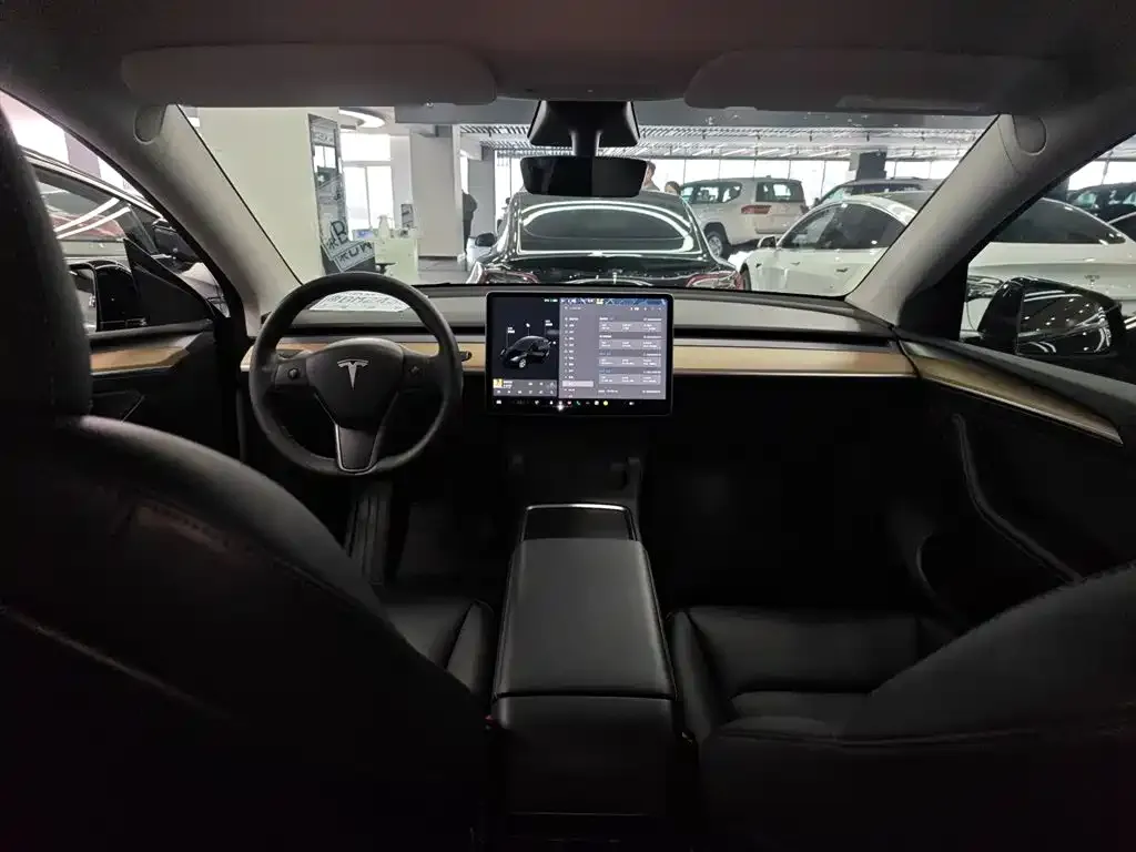 Tesla Model Y 2021 из CN, фото 4