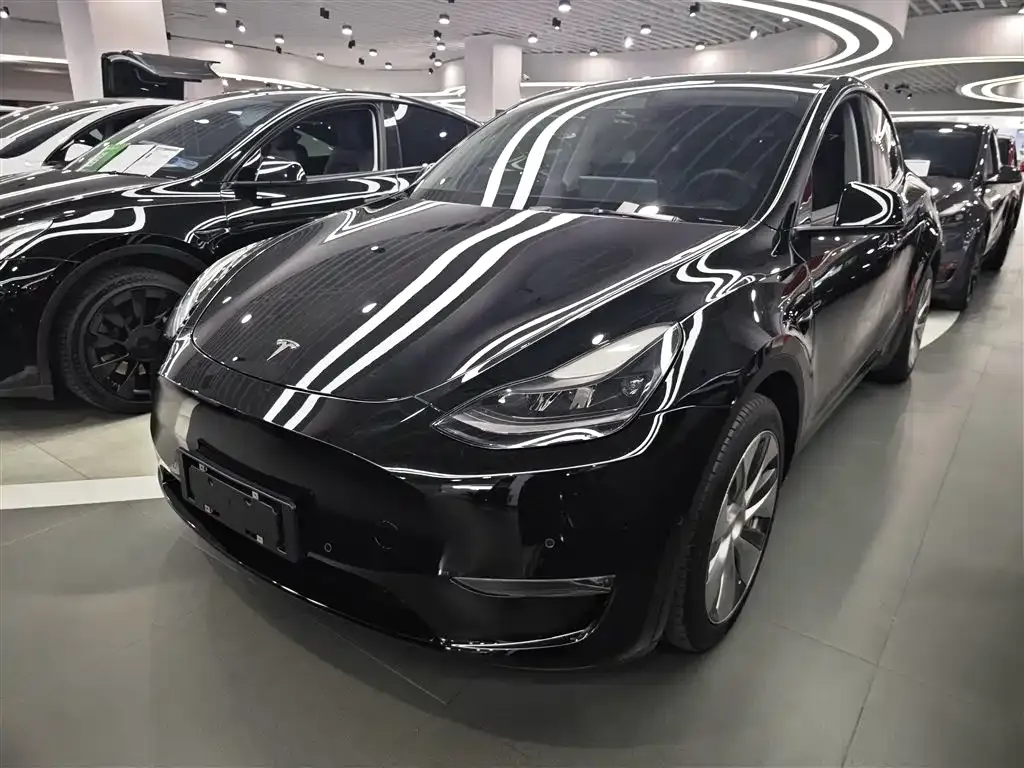Tesla Model Y 2021 из CN, фото 9