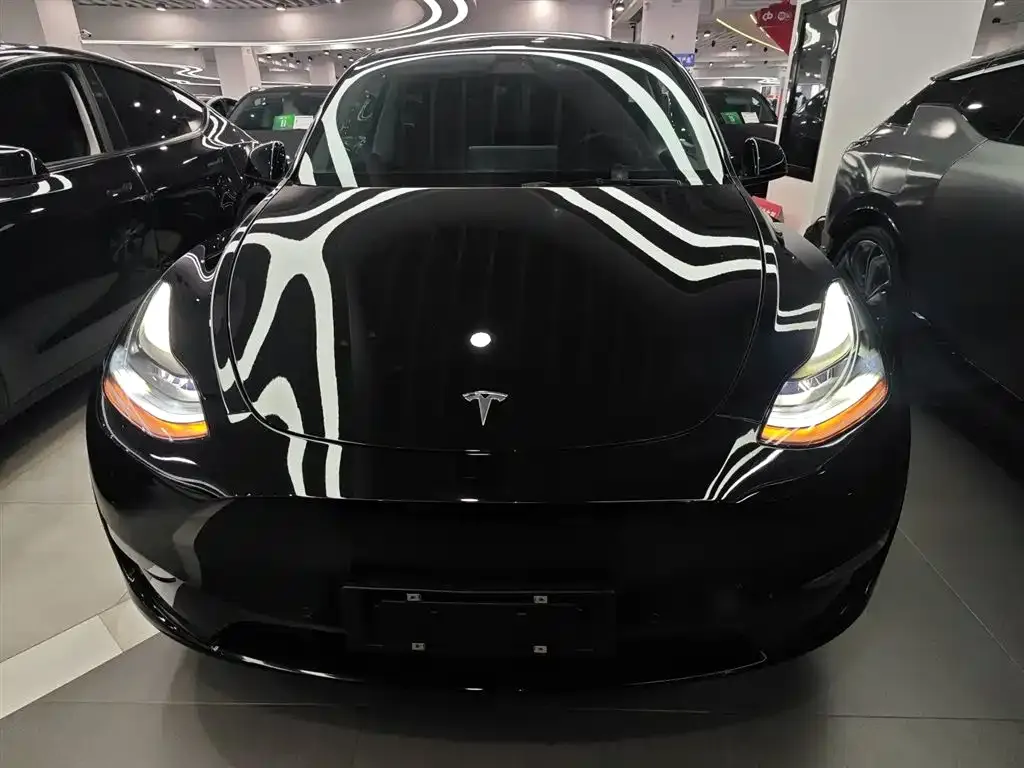 Tesla Model Y 2021 из CN, фото 3