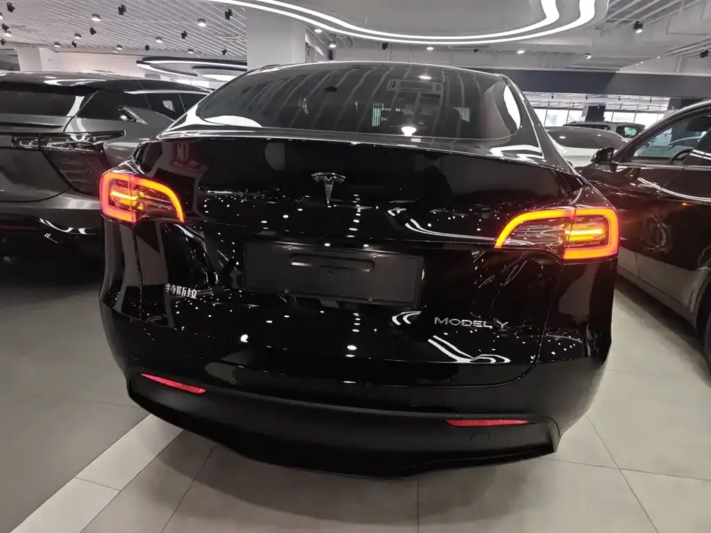 Tesla Model Y 2021 из CN, фото 8