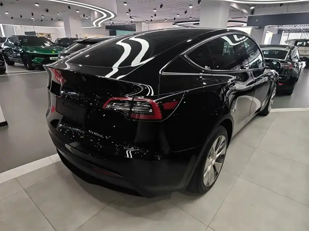 Tesla Model Y 2021 из CN, фото 6