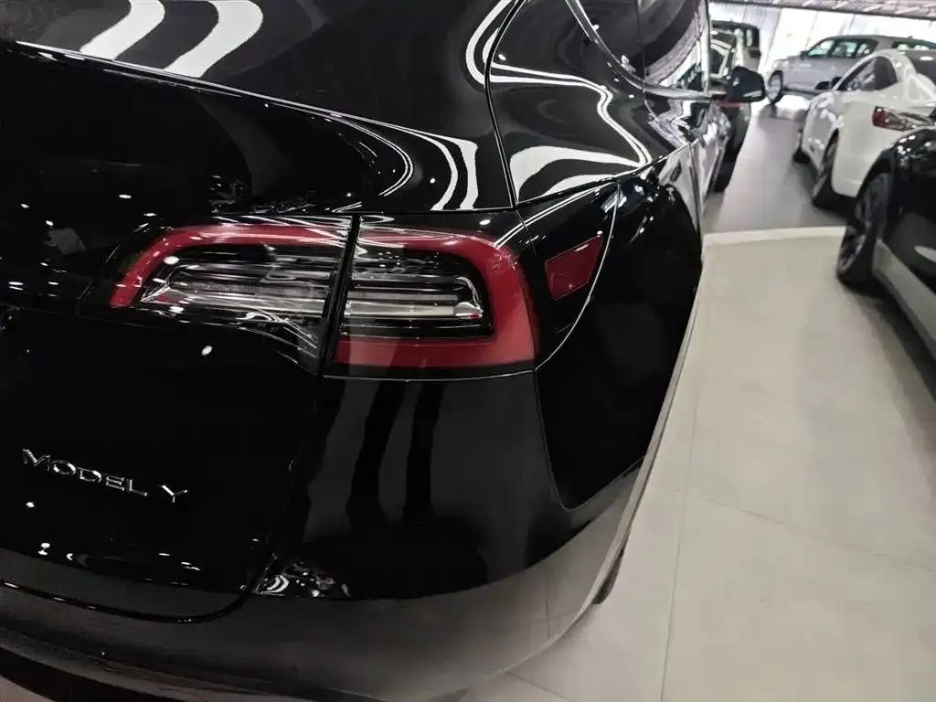 Tesla Model Y 2021 из CN, фото 5