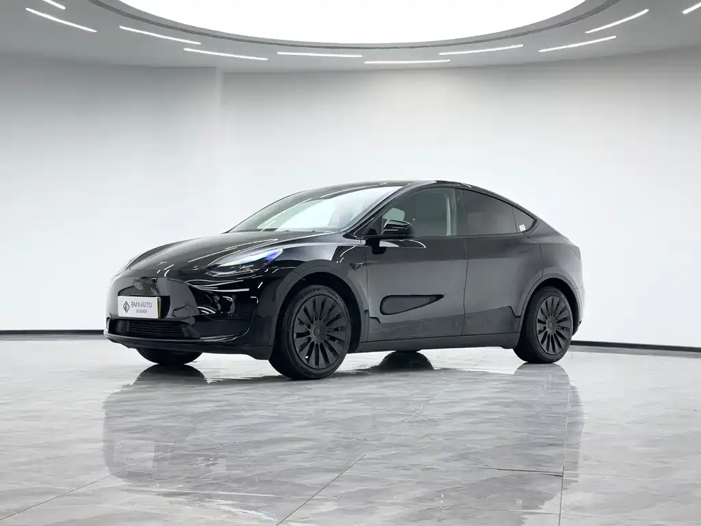 Tesla Model Y 2023 из CN, фото 1
