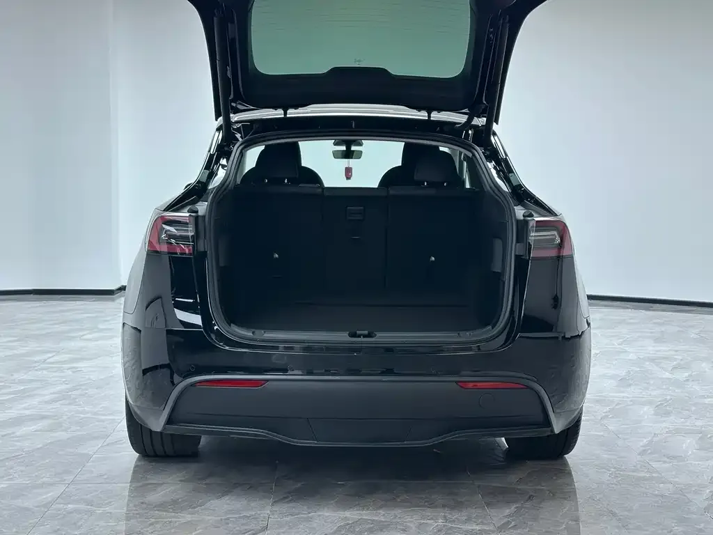 Tesla Model Y 2023 из CN, фото 9