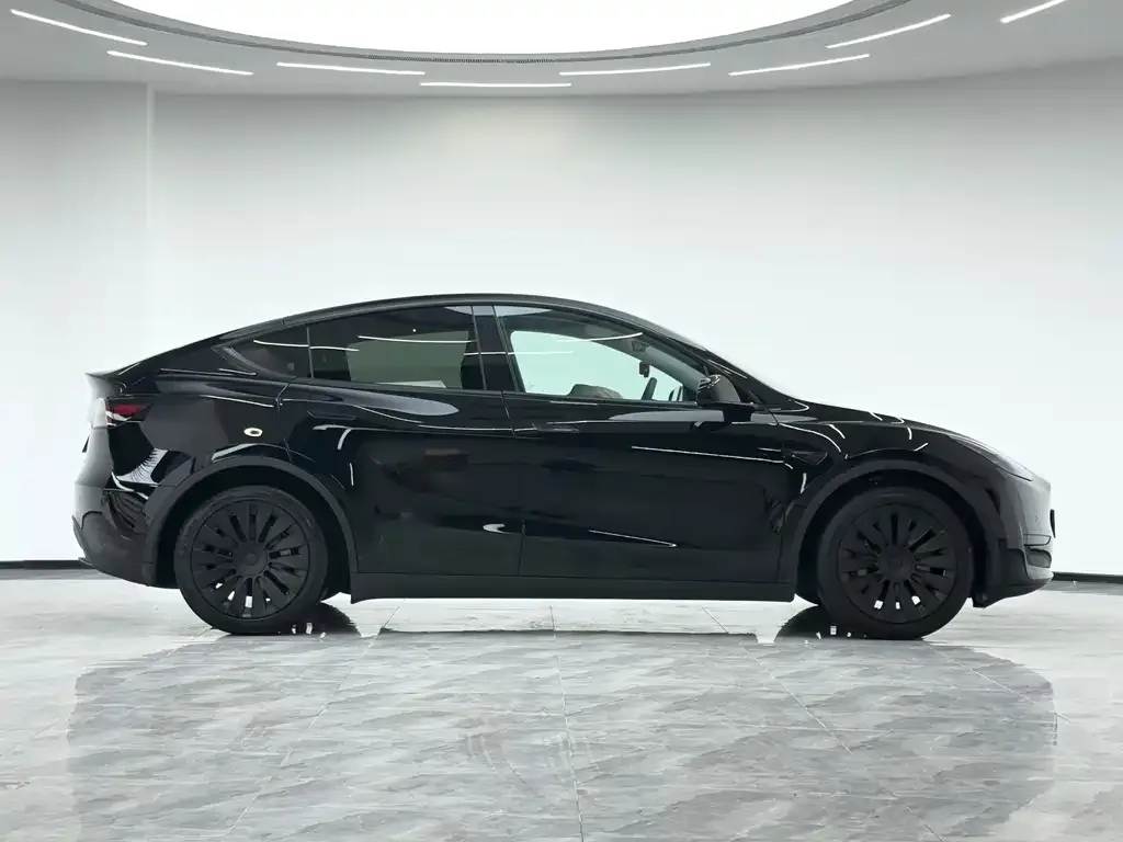 Tesla Model Y 2023 из CN, фото 4