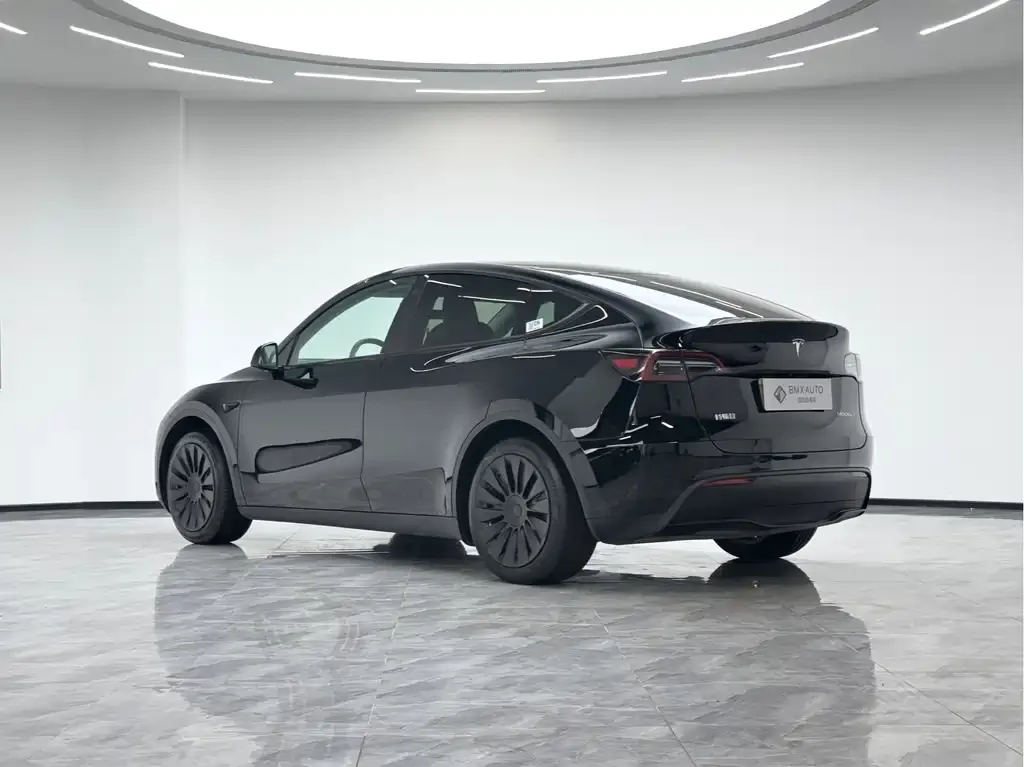 Tesla Model Y 2023 из CN, фото 5