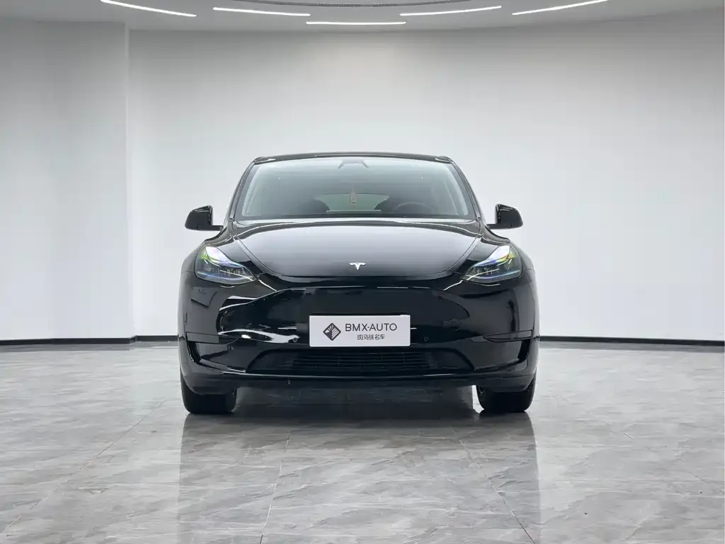 Tesla Model Y 2023 из CN, фото 6