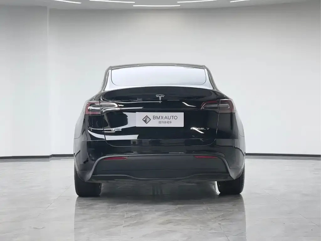 Tesla Model Y 2023 из CN, фото 2