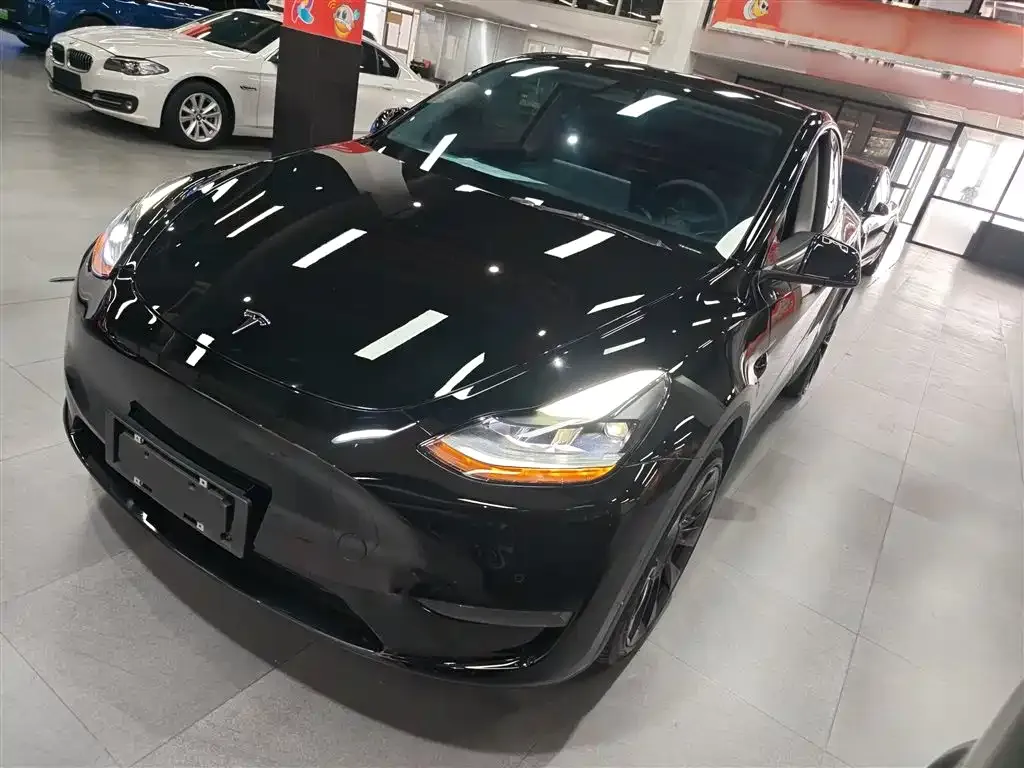 Tesla Model Y 2021 из CN, фото 7