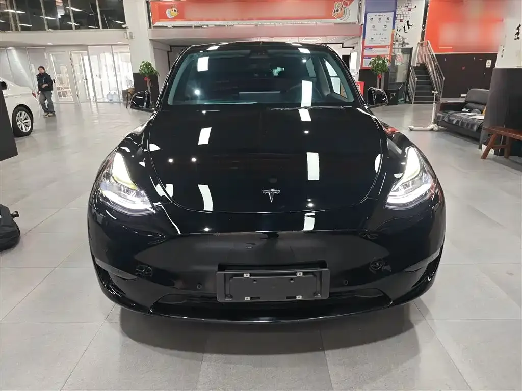 Tesla Model Y 2021 из CN, фото 8