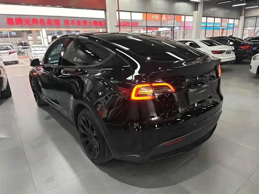 Tesla Model Y 2021 из CN, фото 9