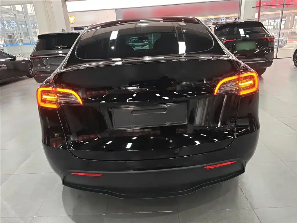 Tesla Model Y 2021 из CN, фото 5