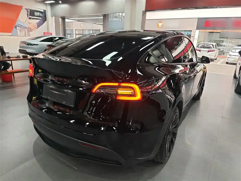 Tesla Model Y 2021 из CN, фото 2