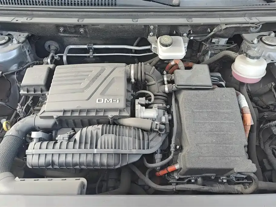 BYD Pro New Energy 2023 из CN, фото 9