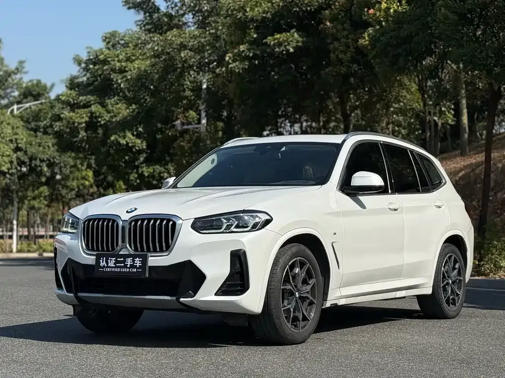 BMW X3 2023 из CN, фото 1
