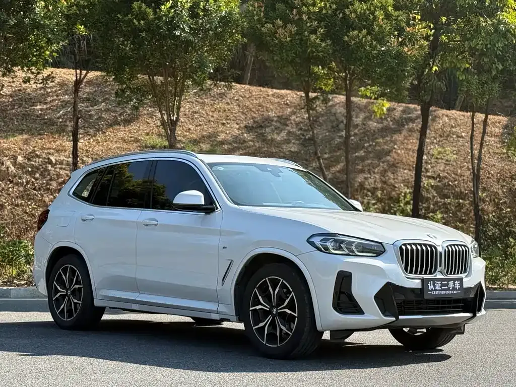 BMW X3 2023 из CN, фото 9