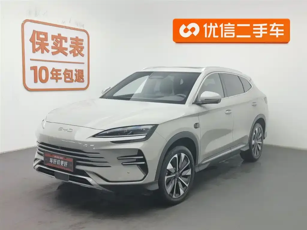 BYD PLUS New Energy 2025 из CN, фото 1