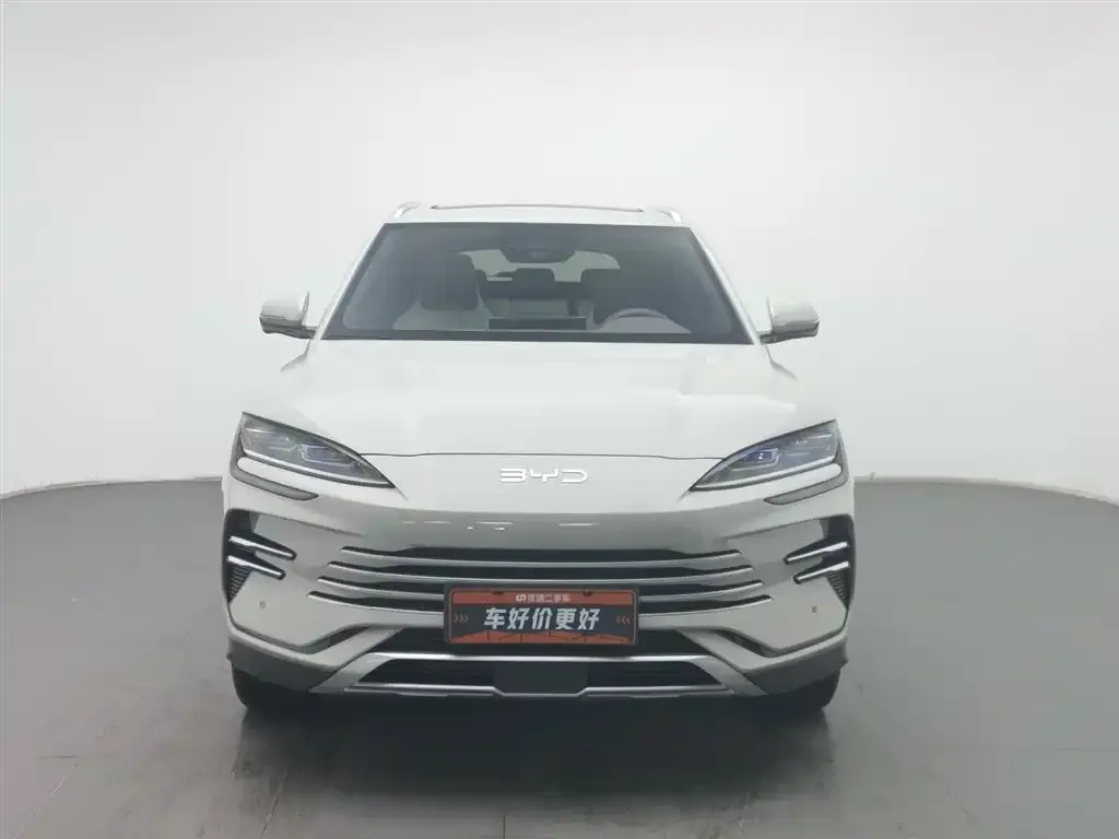 BYD PLUS New Energy 2025 из CN, фото 2