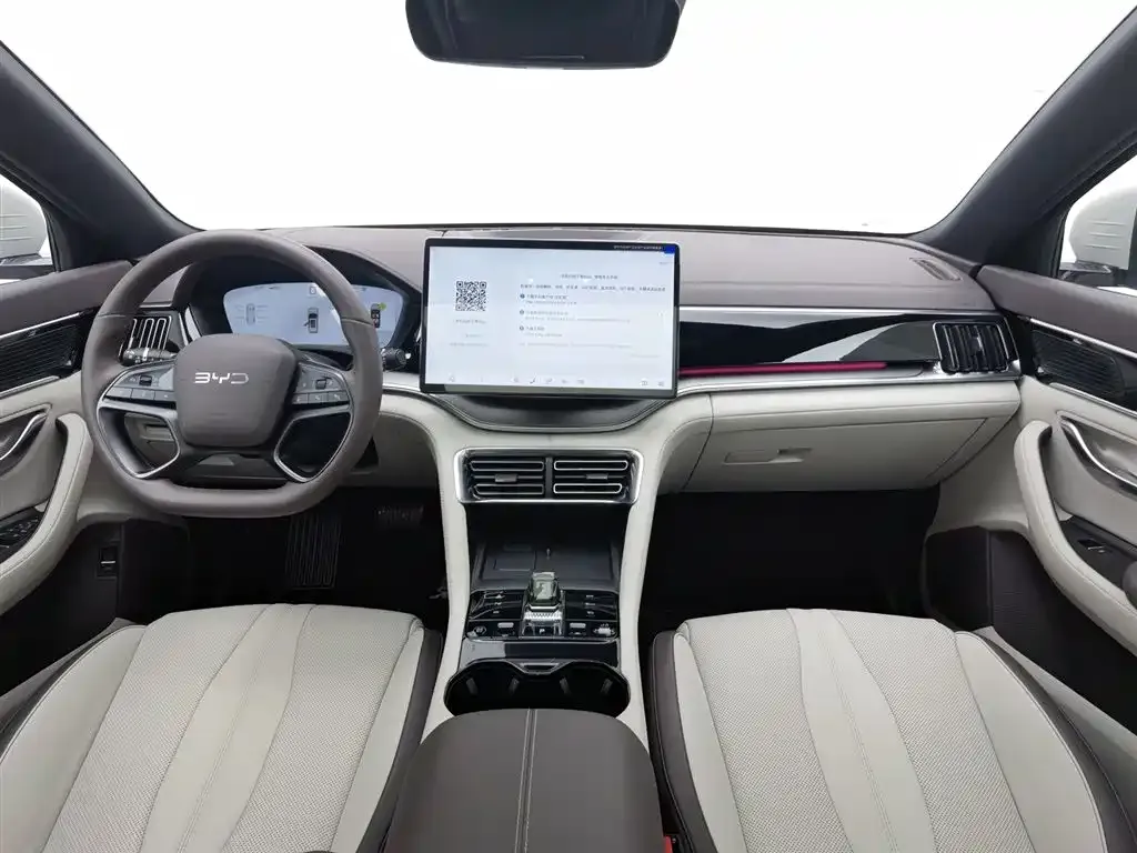 BYD PLUS New Energy 2025 из CN, фото 10