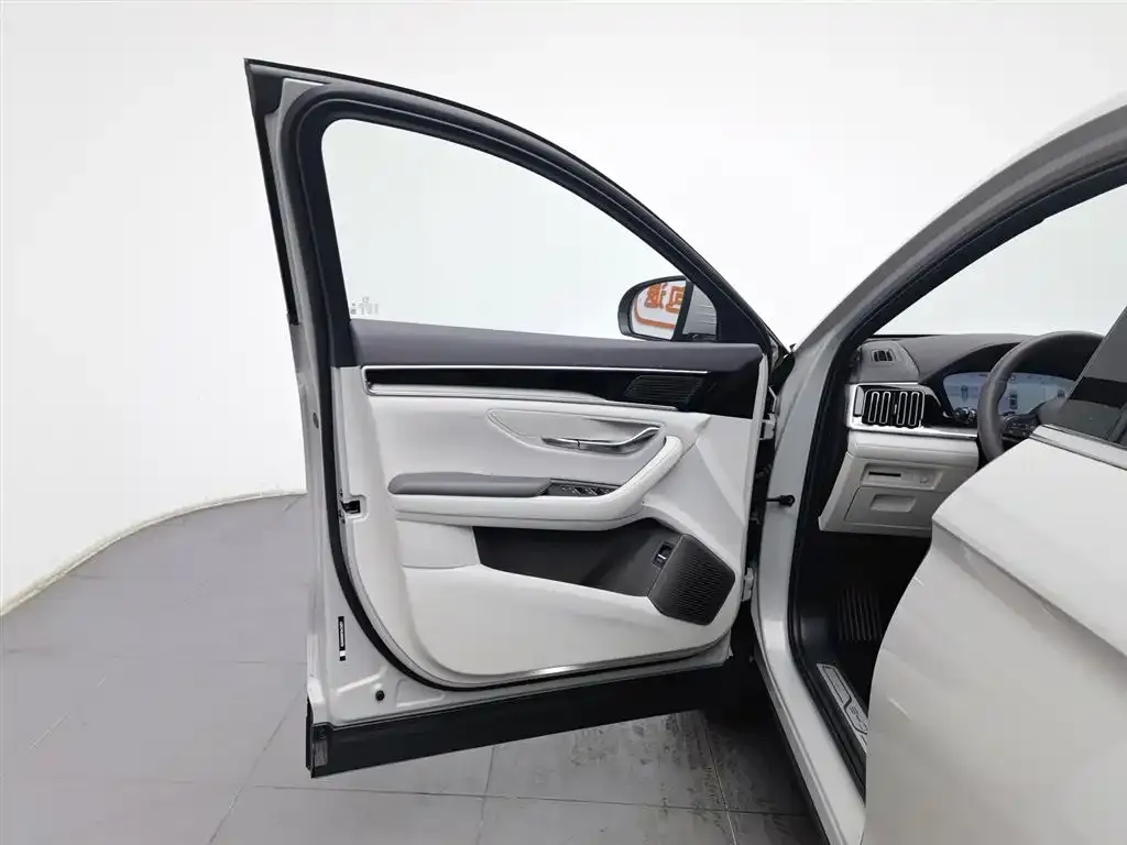 BYD PLUS New Energy 2025 из CN, фото 4
