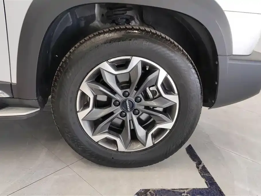 Haval Big Dog 2023 из CN, фото 4