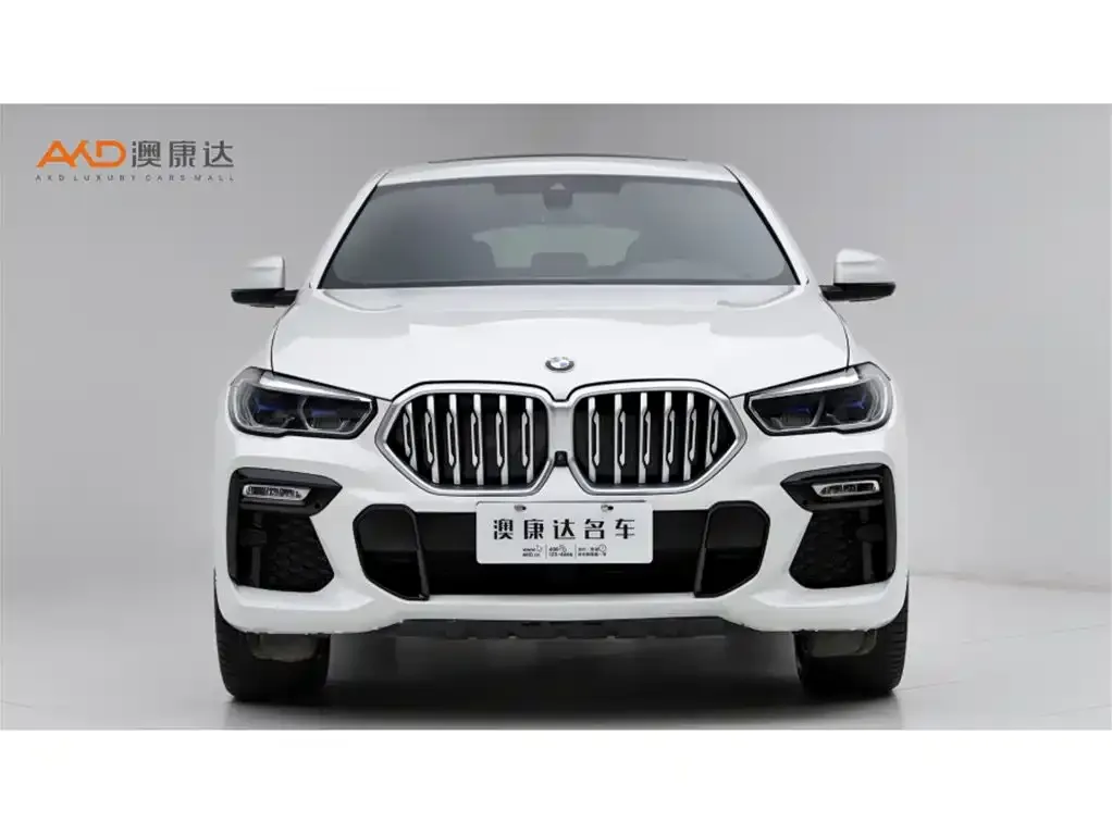 BMW X6 2021 из CN, фото 2