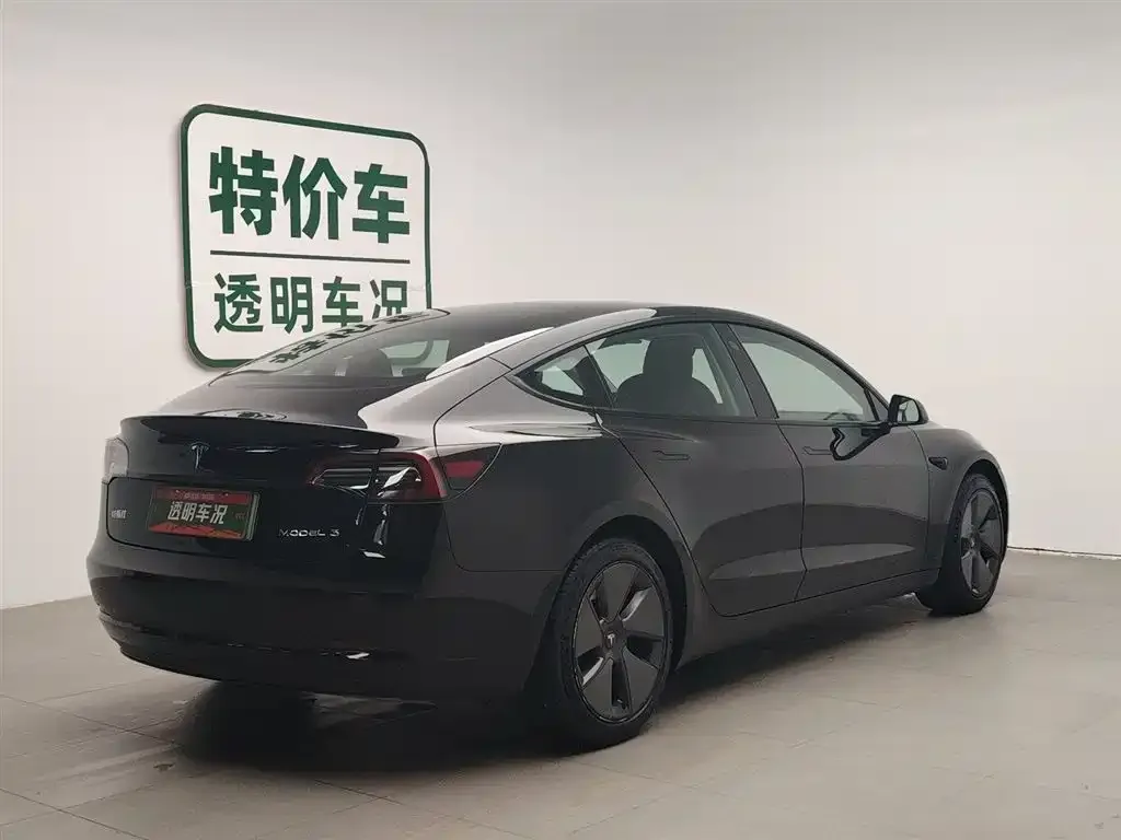 Tesla Model 3 2021 из CN, фото 8