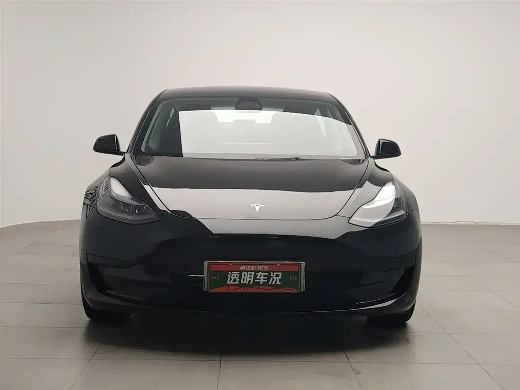 Tesla Model 3 2021 из CN, фото 6