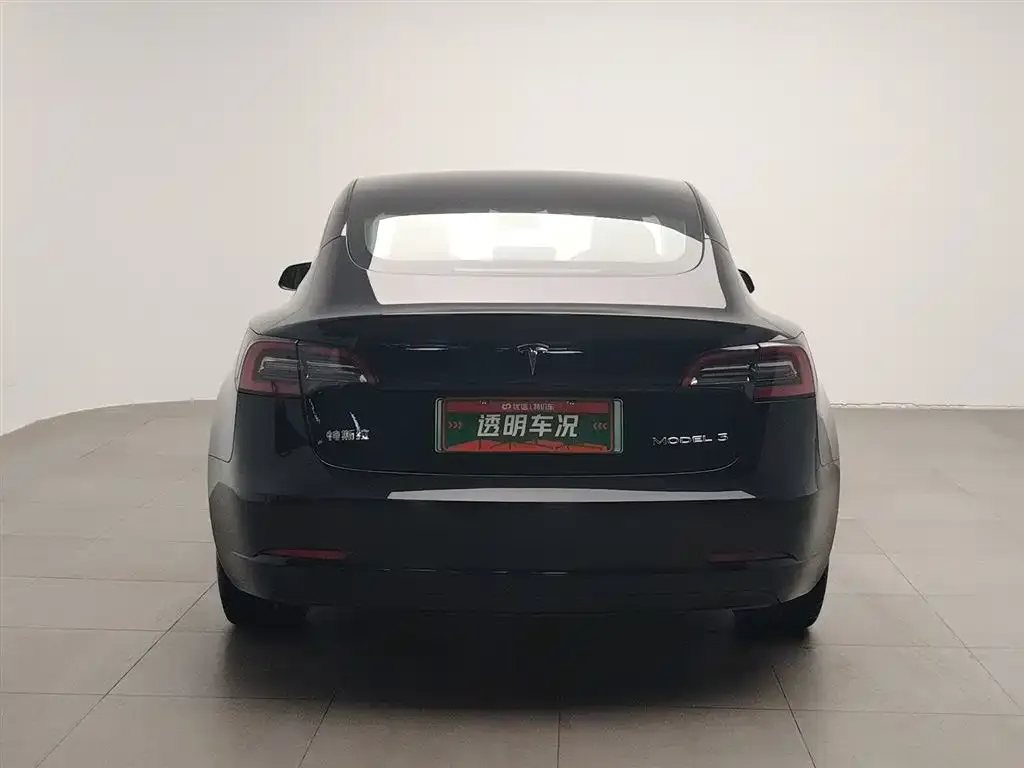 Tesla Model 3 2021 из CN, фото 3