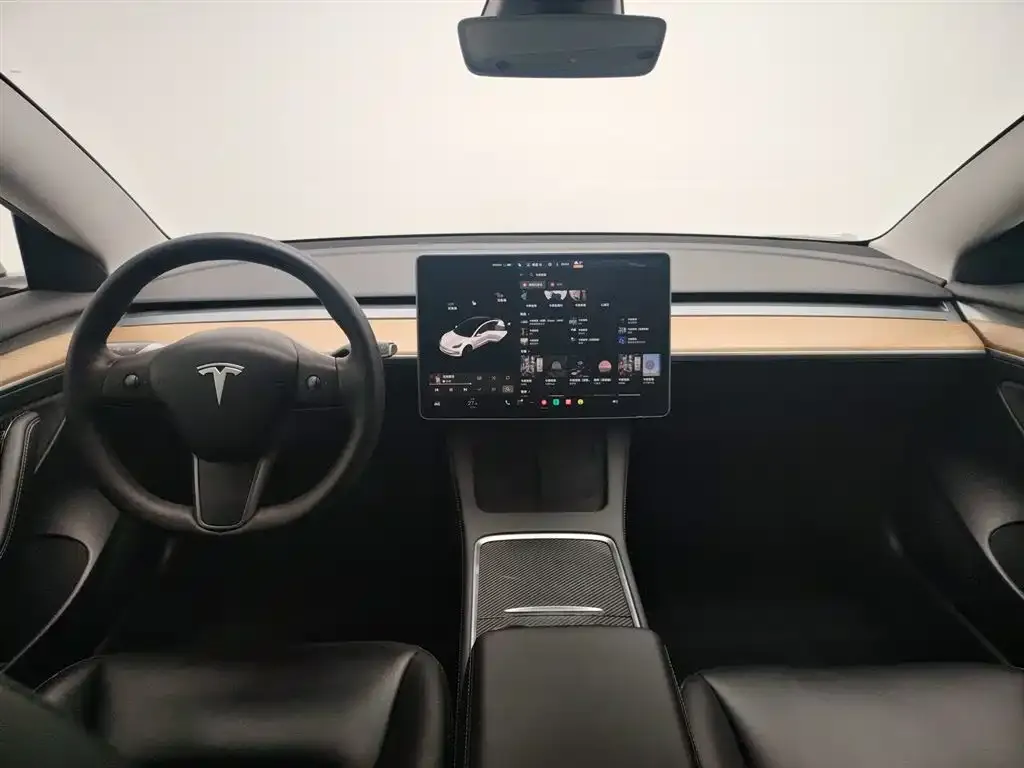Tesla Model 3 2021 из CN, фото 2